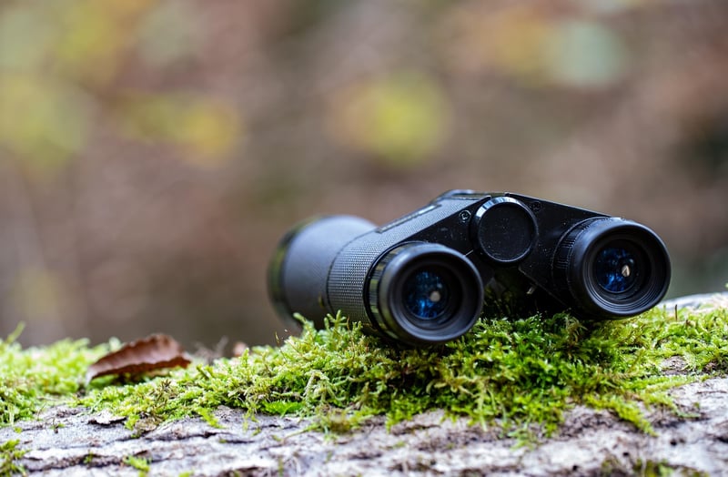 Toilet Paper Roll Binoculars