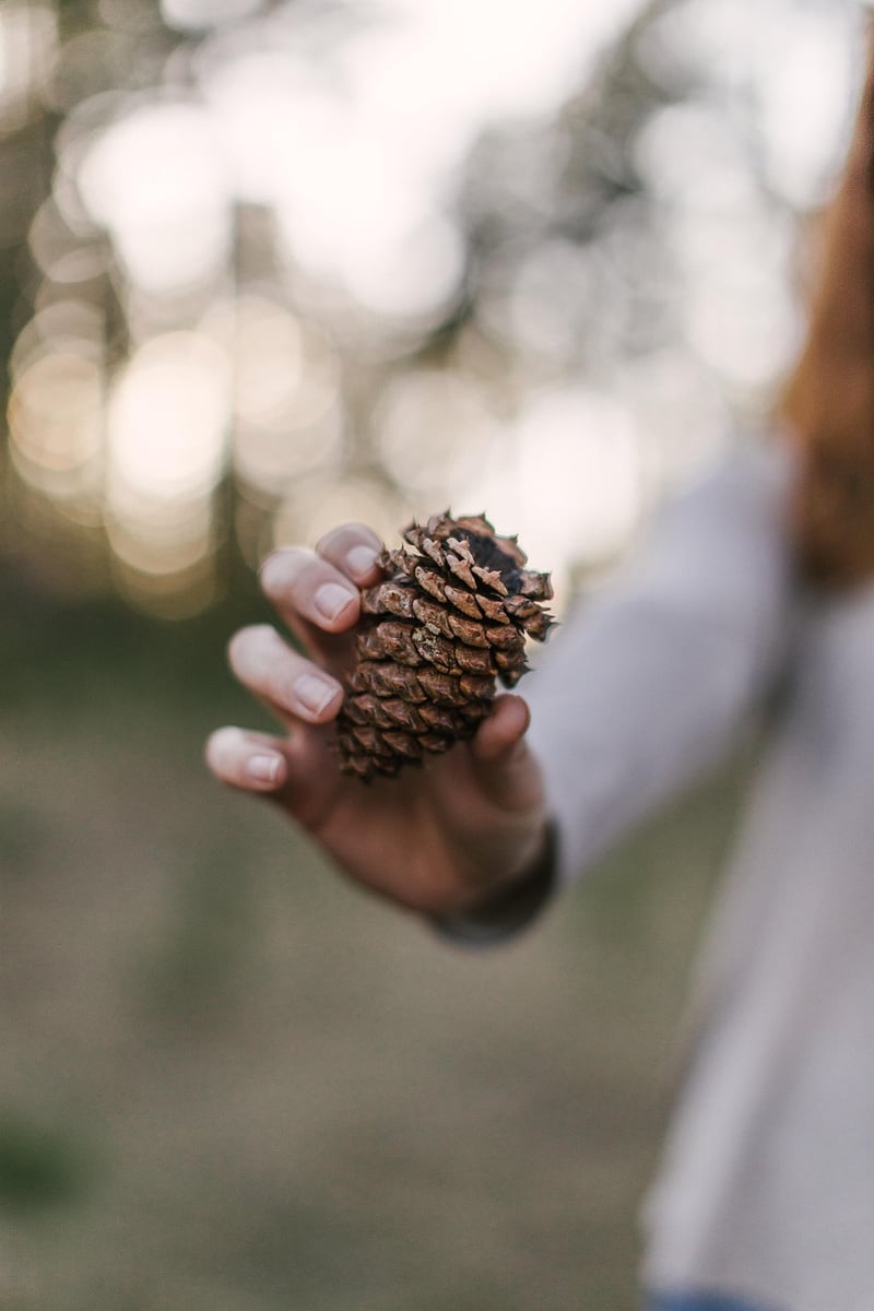 Nature-inspired wrapping